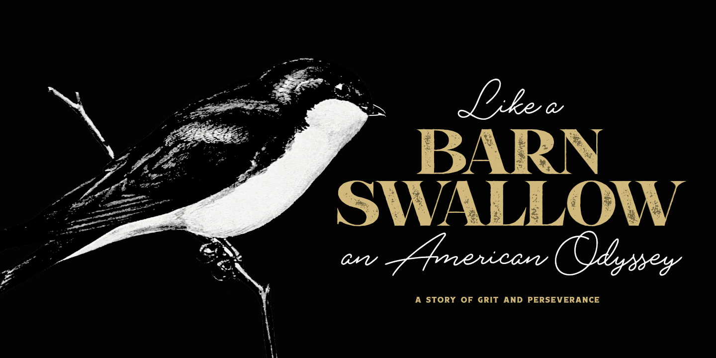 Boardwalk Avenue Rough